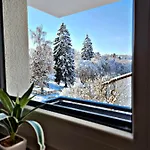Apartman Lions Place Premium Executive Luxus Penthouse Inklusive *