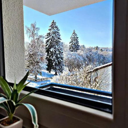 Apartment Lions Place Premium Executive Luxus Penthouse Inklusive *