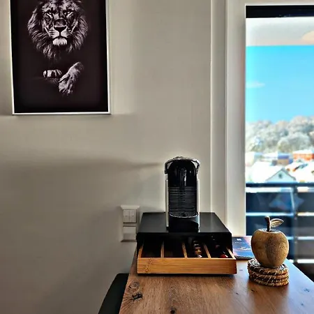 Lions Place Premium Executive Luxus Penthouse Inklusive Heidenheim an der Brenz