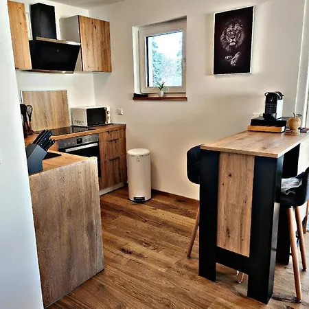 Lions Place Premium Executive Luxus Penthouse Inklusive *