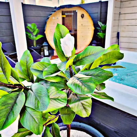 Lions Place Premium Executive Luxus Penthouse Inklusive * Heidenheim an der Brenz